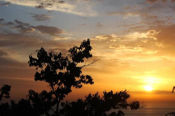 Coucher Soleil Ciel Coloré Ombres Arbres Ciel Mer Noire Géorgie — Photo