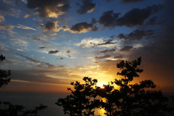 Puesta Sol Cielo Colorido Sombras Árboles Cielo Del Mar Negro — Foto de Stock