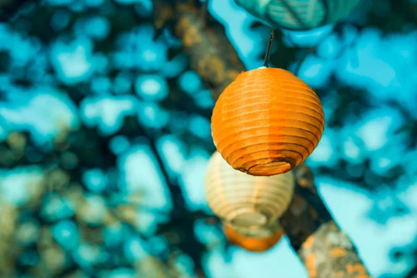 Lantern in the yard on the tree bokeh background, night and warm light, hanging lanterns, natural light, evening time.