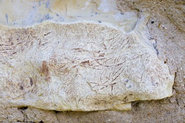 Taş ve kaya arka planı ve dokusu, kayanın deseni. Yakın çekim ve makro.