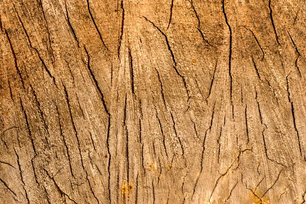 Leña Foto Fondo Madera Textura Madera Apilada Patrón Madera — Foto de Stock