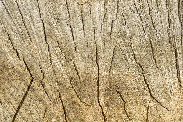 Leña Foto Fondo Madera Textura Madera Apilada — Foto de Stock