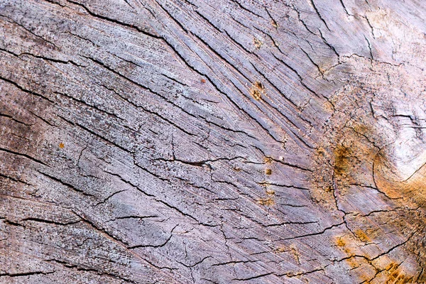 Legna Ardere Foto Sfondo Legno Texture Del Legno Impilato — Foto Stock