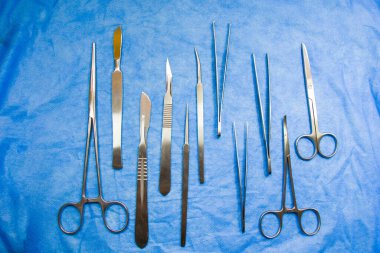 İnceleme kiti - Anatomi, Biyoloji, Veterinerlik, Neşter Bıçaklı Deniz Biyolojisi Kurbağaları Kesmek İçin Kalitesiz Paslanmaz Çelik Aletler