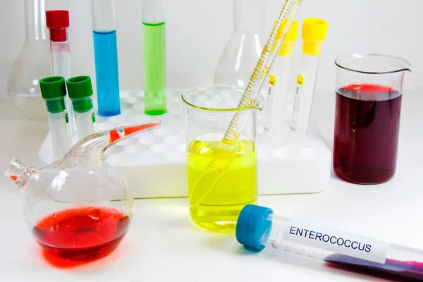 Enterococcus Campione Sangue Sfondo Bianco Ricerca Laboratorio — Foto Stock