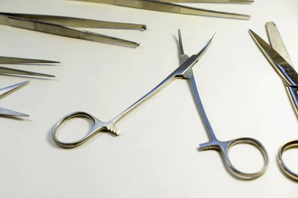 解剖套件 高级优质不锈钢工具 供解剖 海洋生物的医科学生使用 包括用于解剖青蛙的手术刀片 手术器械 手术刀 — 图库照片
