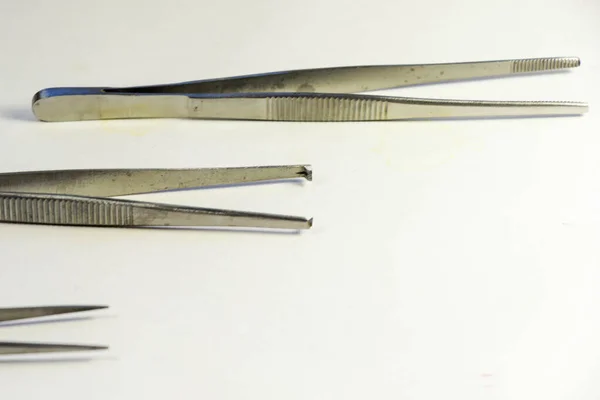 解剖キット プレミアム品質解剖学 生物学 獣医学 カエルの解剖に含まれるメスブレードを備えた海洋生物学の医学生のためのステンレス鋼ツール 手術器具 ピンカー — ストック写真