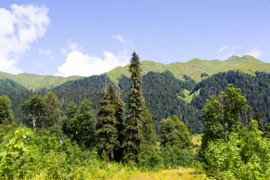 Svaneti, Georgia 'daki dağlar manzara ve manzara, yaz tatilleri ve yürüyüş