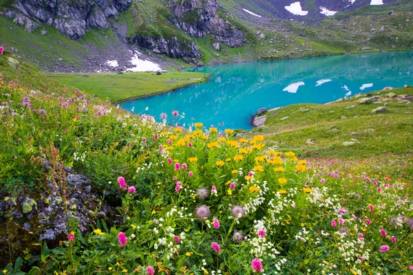 Alp Dağı gölü manzarası ve manzarası, mavi güzel ve şaşırtıcı göl manzarası, geniş açı mercek manzarası ve Svaneti, Georgia 'daki Okhrotskhali' de dağ yansımaları..