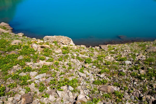 Lago Montanha Alpino Durante Dia Luz Solar Paisagem Colorida Lago — Fotografia de Stock