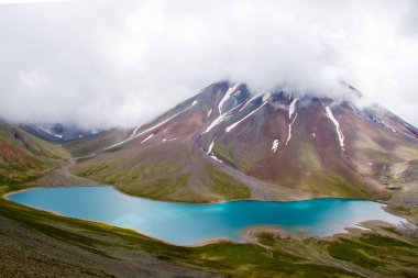 Covid - 19 ve Corona virüs kan testi, negatif ve pozitif testler, reaksiyonlar ve cam eşyalar.