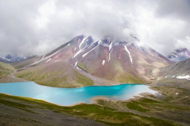 Covid - 19 ve Corona virüs kan testi, negatif ve pozitif testler, reaksiyonlar ve cam eşyalar.