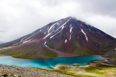 Covid - 19 ve Corona virüs kan testi, negatif ve pozitif testler, reaksiyonlar ve cam eşyalar.