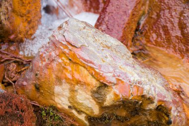 Gürcistan 'daki dağ nehri, su ve kayalar.
