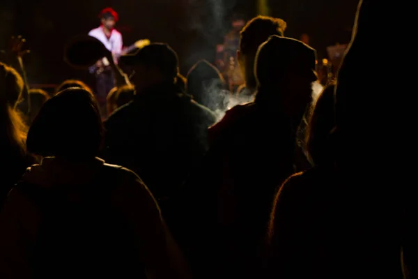 Concerto Música Vivo Vida Noturna Pessoas Multidão Ouvindo Música Jovens — Fotografia de Stock