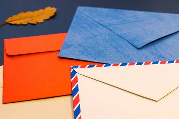 Envelopes Flores Secas Plantas Espaço Vazio Para Texto Letra Fundo — Fotografia de Stock