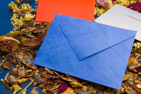 Envelopes Flores Secas Plantas Espaço Vazio Para Texto Letra Fundo — Fotografia de Stock