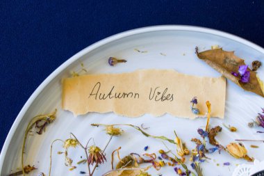 Sonbahar titreşimleri, kurumuş bitkiler ve mavi arka plandaki tabakta çiçek, stüdyo çekimi.