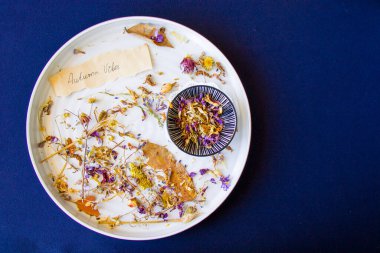 Sonbahar titreşimleri, kurumuş bitkiler ve mavi arka plandaki tabakta çiçek, stüdyo çekimi.