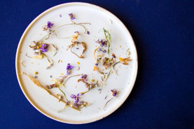 Sonbahar kurutulmuş bitkiler ve mavi arka planda bir çiçek, stüdyo çekimi.