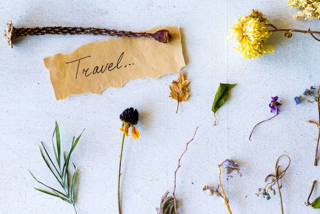 Autumn vibes travel memories, dried plants and flowers, copy paste space, letter and words on the old paper, herbarium theme.