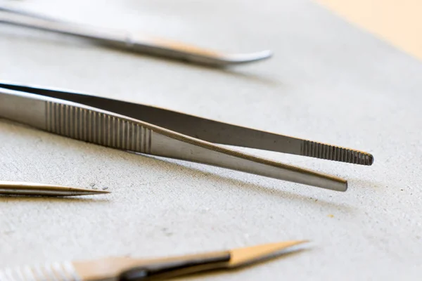 Dissectiekit Roestvrij Staal Gereedschap Voor Medische Studenten Anatomie Biologie Veterinaire — Stockfoto