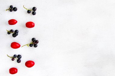 Currant, Cornus ve Dogberry yakın çekim, yemek fotoğrafçılığı.