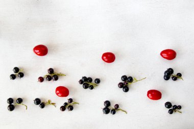 Currant, Cornus ve Dogberry yakın çekim, yemek fotoğrafçılığı.