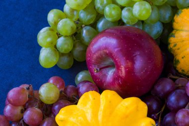 Sonbahar ve sonbahar hasadı, balkabağı, elma, üzüm ve pattison mavi arka planda.