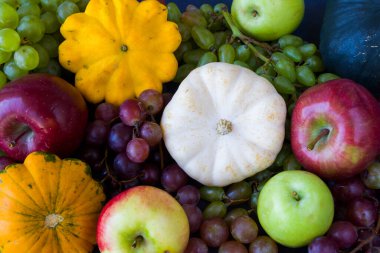 Sonbahar ve sonbahar hasadı, balkabağı, elma, üzüm ve pattison mavi arka planda.