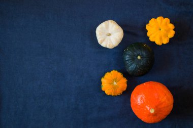 Sonbahar ve sonbahar hasadı mavi arka planda