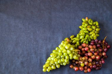 Mavi arka planda sonbahar üzümleri, mevsimlik meyve hasadı