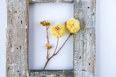 Beyaz arkaplanda boş çerçeve