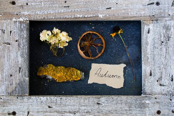Рама Осенние Листья Цветы Сушеные Растения — стоковое фото