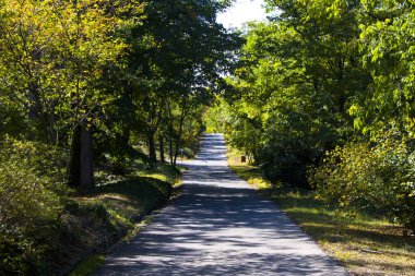 Tiflis Botanik Bahçesi, yol, ağaçlar ve bitkiler, güneş ışığı ve gölgeler, park manzarası