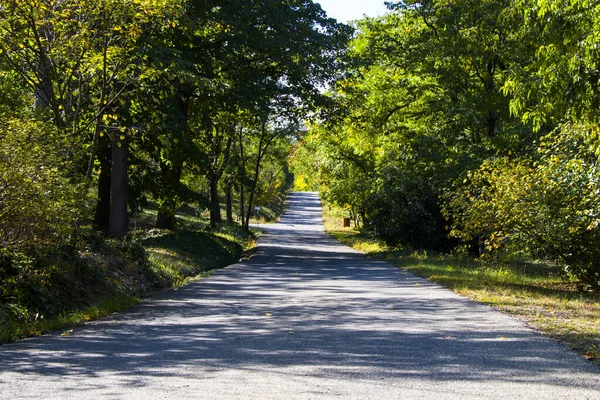 Tiflis Botanik Bahçesi, yol, ağaçlar ve bitkiler, güneş ışığı ve gölgeler, park manzarası