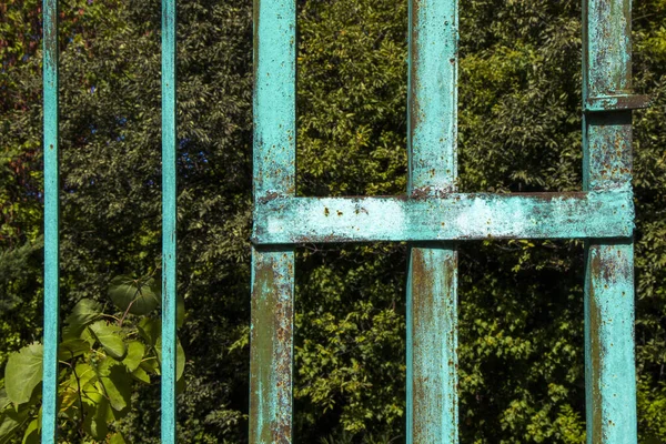 公園内の庭園 植物や古い金属青のフェンスでフェンス — ストック写真