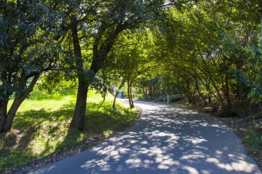 Tiflis Botanik Bahçesi, yol, ağaçlar ve bitkiler, güneş ışığı ve gölgeler, park manzarası