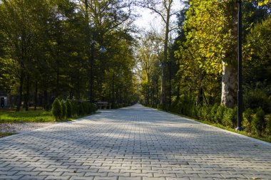 Bahçe ve park, Georgia 'daki Zugdidi Botanik Bahçesi.