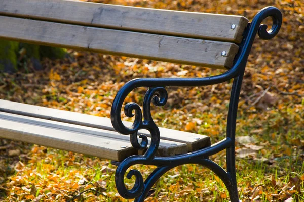 Židle Parku Podzimní Listí Půdě Gruzii — Stock fotografie