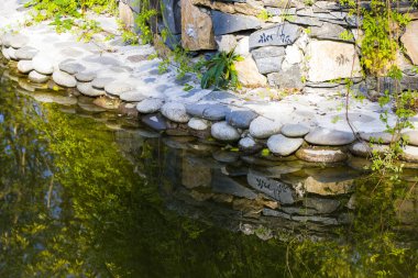 Parktaki gölet, Georgia 'daki Zugdidi Botanik Bahçesi..