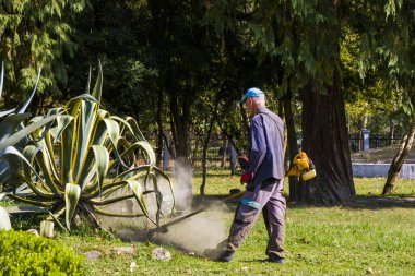Zugdidi, Gürcistan - 12 Ekim 2020: Çim biçme işlemi, parkta makineyle çim biçme