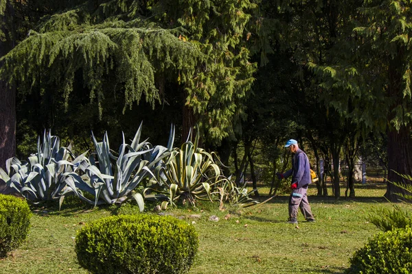 Zugdidi Geórgia Outubro 2020 Processo Corte Grama Grama Corte Trabalhador — Fotografia de Stock