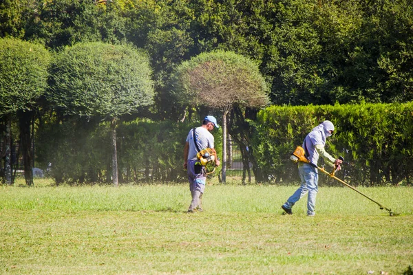 Zugdidi Georgia Oktober 2020 Gräsklippning Arbetare Klipper Gräs Med Maskin — Stockfoto