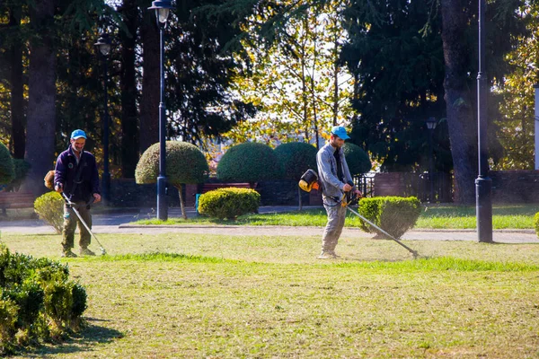 Zugdidi Géorgie Octobre 2020 Processus Coupe Herbe Travailleur Couper Herbe — Photo