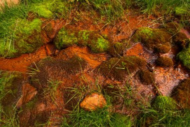 Gürcistan 'ın Hazbegi kentindeki doğal maden suyu mekanı.
