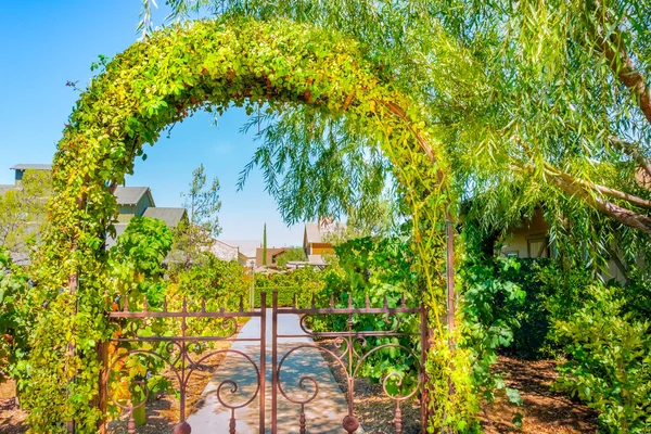 Vine covered archway over a wrought iron gate stand in front of a vineyard in Temecula Valley.
