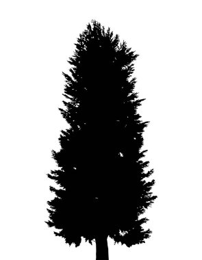 Ağacın silüeti düz vektör çizimi
