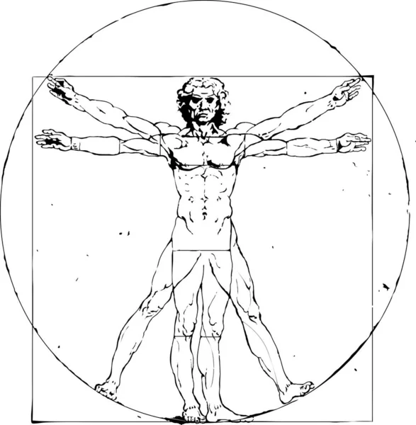 Vitruvian Man Leonardo Vinci — Stock Vector