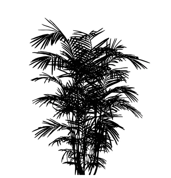 Ağacın Silüeti Düz Vektör Çizimi — Stok Vektör